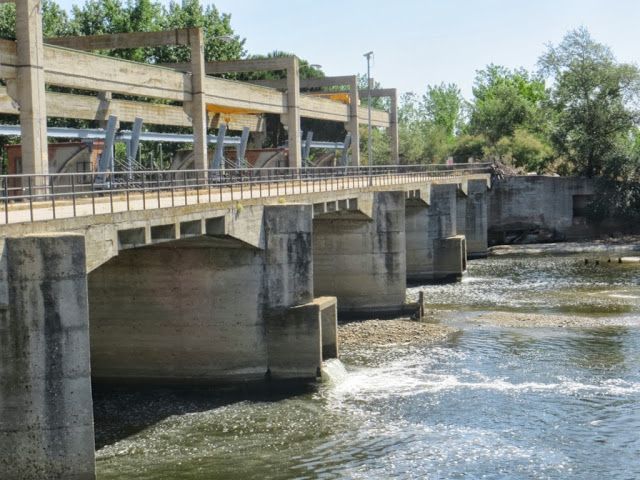 presa-del-rey